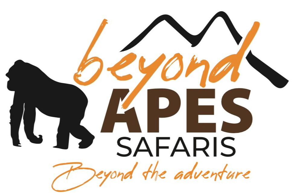Beyond Apes Safaris | Eco-friendly destinations